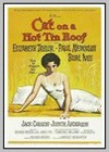 Cat on a Hot Tin Roof 